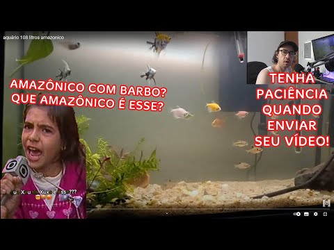 AQUÁRIO AMAZÔNICO (OU QUASE) DE 100 LITROS COM BANDEIRA, TETRAS COLORIDOS, CORY E MAIS!