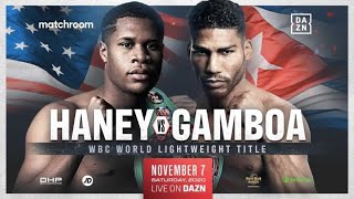 Devin Haney vs Yuriorkis Gamboa