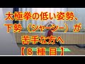 24式太極拳の低い姿勢、下勢（シャーシー）が劇的に変わる【８ 種 目 】腰痛予防。股関節痛予防にも！一緒にやりましょう！気持ちいい！元気になる！エネルギーが湧く！