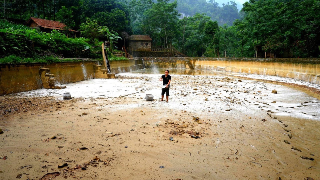 Lime sprinkled in empty pond—will my dream of raising thousands of fish succeed this time?