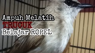 TRUCUKAN ROPEL GACOR AMPUH MELATIH MEMANCING TRUCUK BELAJAR ROPEL