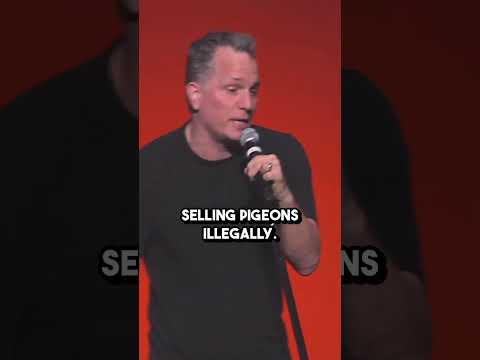 Pigeons