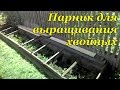 Выращивания хвойных в парнике.