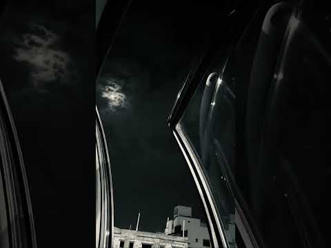 دمر هالروح المسكينة 