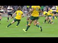 All Hail the Honey Badger! | HIGHLIGHTS