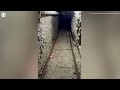 Drug-smuggling tunnel between U.S. and Mexico discovered under fake San Diego store, DOJ says