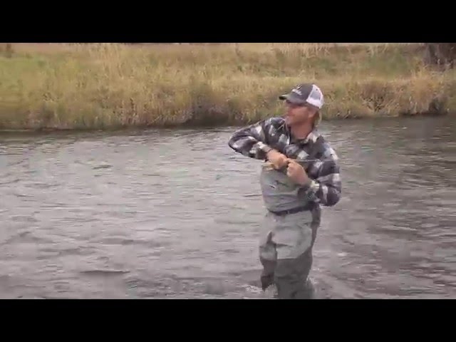 Walk & Wade Streamer Fishing for Trout