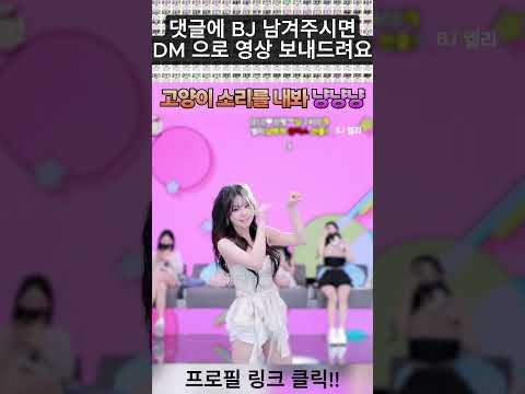 엘리의 고양이냥냥 #엑셀방송 #엑셀 #팬더티비 #팬더 #릴스추천 #엘리 #냥냥냥 #직캠