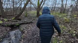 Quiet 35-Minute Nature Walk | Forest & River Hiking Path