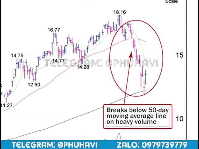 Outline Video IBD LV6 0202 LV6 CHART SCHOOL