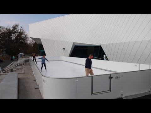 Detroit Zoo's New Skating Rink Is Open Through February