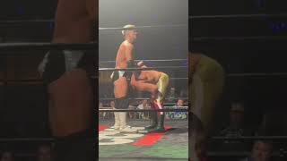 Pro Wrestling Move- The Pedigree