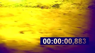 +C BUG MY FAST +C 0,883