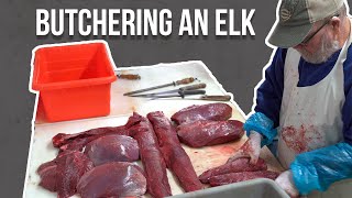 How To Butcher An Elk | START TO FINISH