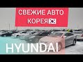 АВТОРЫНОК РИОМ. СВЕЖИЕ АВТОМОБИЛИ . Hyundai Sonata Y20.LF . Hyundai Grandeur.