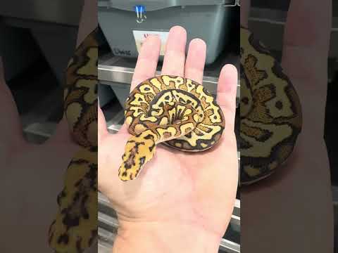 Russo hits different