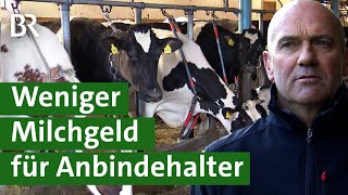 Weniger Milchgeld für Anbindehaltung | Unser Land | BR Fernsehen