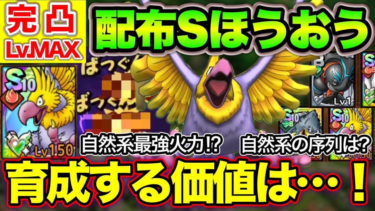 【ドラクエタクト】配布Sほうおう完凸Lv.MAX！自然系の貴重な戦力なるか！？