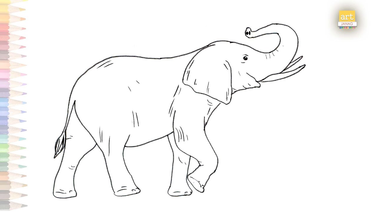 Engraving drawing of big elephant Royalty Free Vector Image-saigonsouth.com.vn