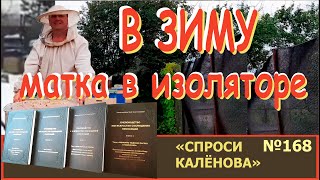 видео: Центрирование Изолятора с Маткой при Формировании и Движении Клуба. Сохранение маток зимой. картинка: Центрирование Изолятора с Маткой при Формировании и Движении Клуба. Сохранение маток зимой.
