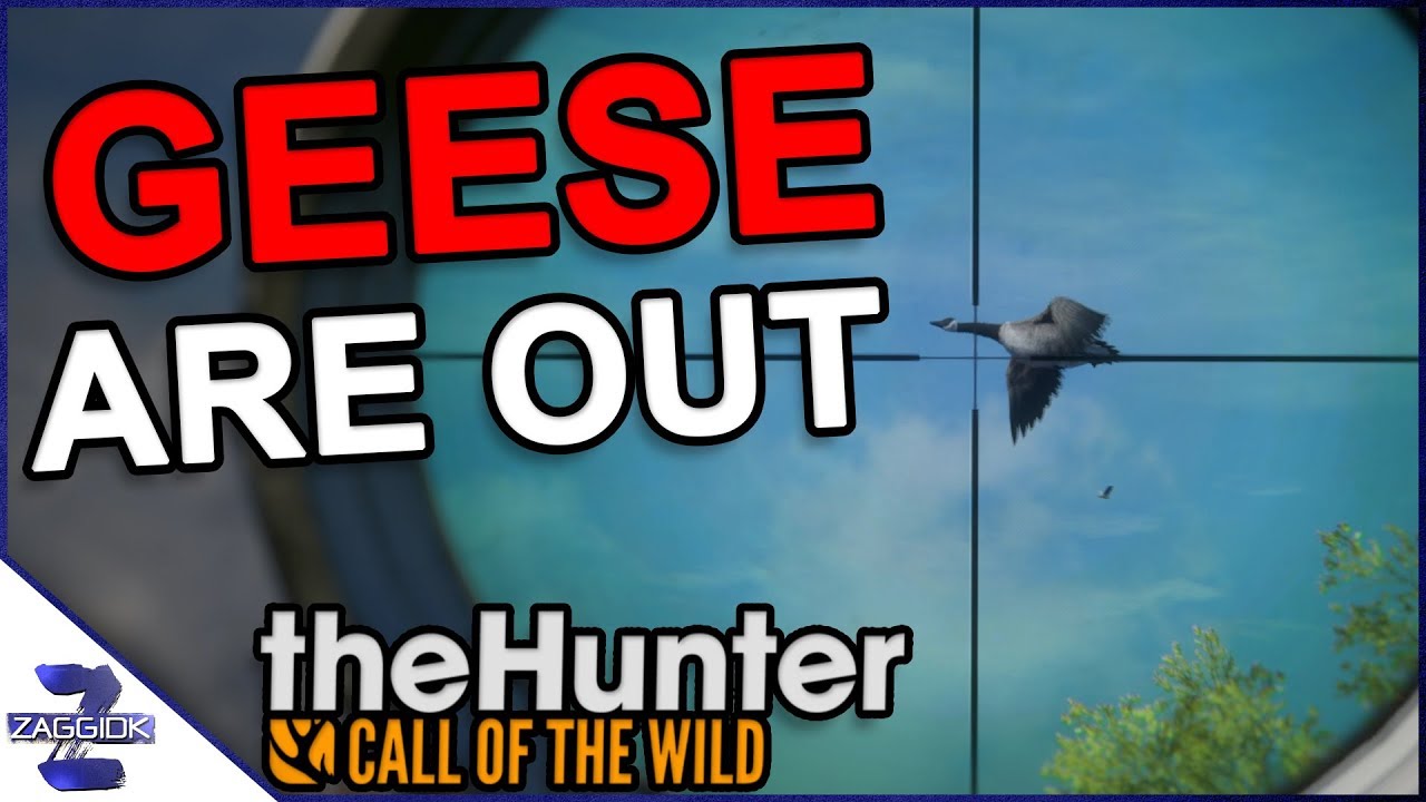 First look CANADA GOOSE Call of the Wild YouTube