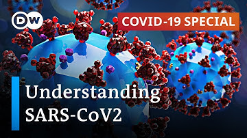Researching coronavirus: What are the findings? | COVID-19 Special