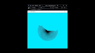 💻Codin css📱 Every programmer lifi status 🧿 programming status #short  #video  #coding