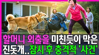 할머니의 외출을 미친듯이 막은 진돗개..잠시 후 충격적인 '진실'이 밝혀지는데..