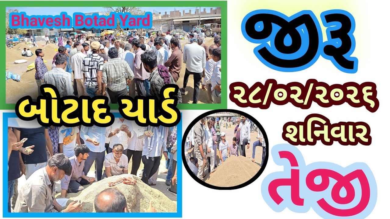 જીરા ના ભાવ માં તેજી બોટાદ માર્કેટિંગ યાર્ડ 28/02/2026 ||Botad Marketing Yard || #bhaveshbotadyard