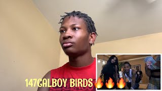 Calboy -Birds (Official Video Shot by Mello Vision) | Reaction!!!!