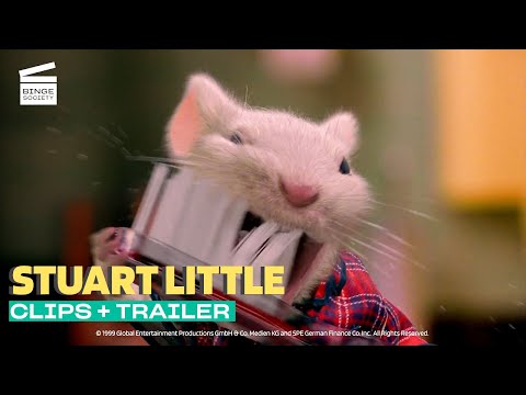 Stuart Little: Clips + Trailer | Best Scenes