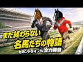 【イクイノックス×スワーヴ】種牡馬たちのセカンドライフ見学ツアー