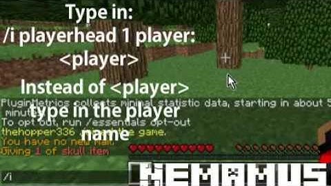 Tutorial - How to get a players head in multiplayer (Bukkit server)