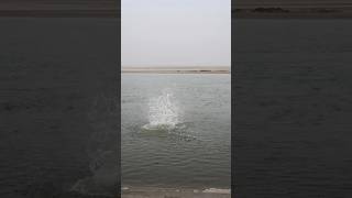 Dropping a big stone in the river | Water splashing all around #shorts #short #viral #youtubeshorts Net Worth