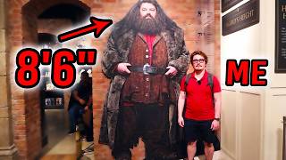 I Met Hagrid In The HARRY POTTER STORE!