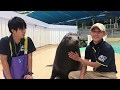 【祝】チャンネル登録者数１万人！　ありがとぉぉぉぉぉおおおああああ！