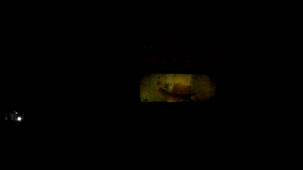 Calcutta song at Victoria Memorial