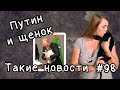 Путин и щенок  Такие новости №98