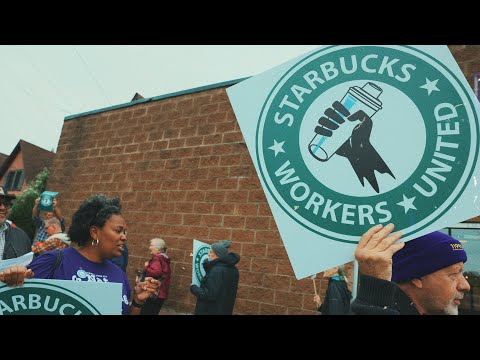 Why Americans Boycott Starbucks ~ Bunker Cat Reacts