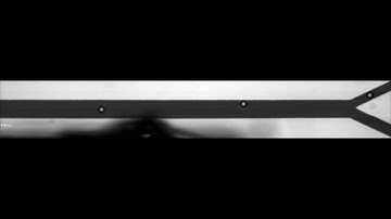 Video of the displacement of a 70 μm under flow with the EPM “on”.