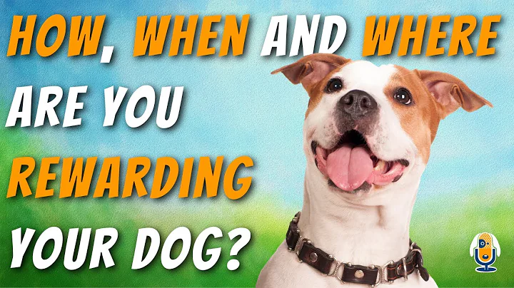 Dog Training Reinforcement Process: How, Where and...