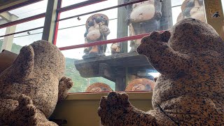 【嵯峨野トロッコ列車公式】オオサントロッコ列車のご案内