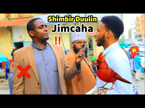 Ekzotik porno videolar