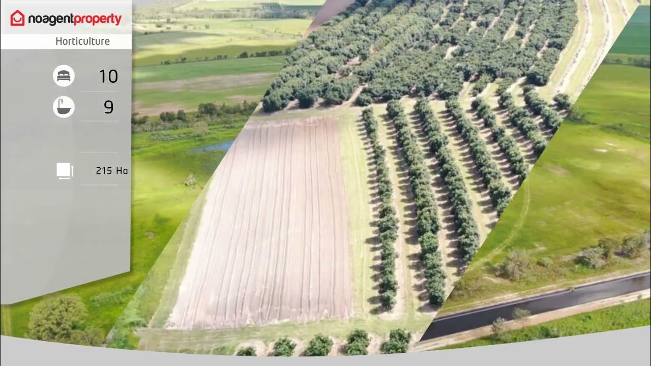 1611 Mareeba Dimbulah Road, Arriga QLD 4880 Property For Sale By