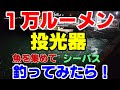 強烈投光器で魚を集めて釣ってみた！（光が無ければ作ればいいじゃん！）