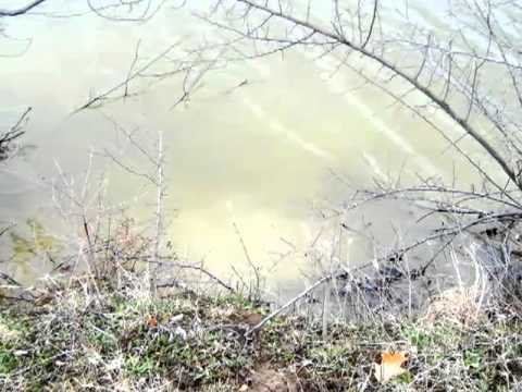 2273 Mindy Lane, Camden, MI home video tour