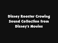 Disney Rooster Crowing Sound Collection From Disney S Movies Disney Rooster Crowing Sound Collection From Disney S Movies