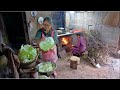 Forgotten chinese recipes with cabbages firewood cooking in stone house