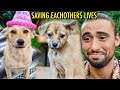 The homeless street dog that changed my life forever the real story