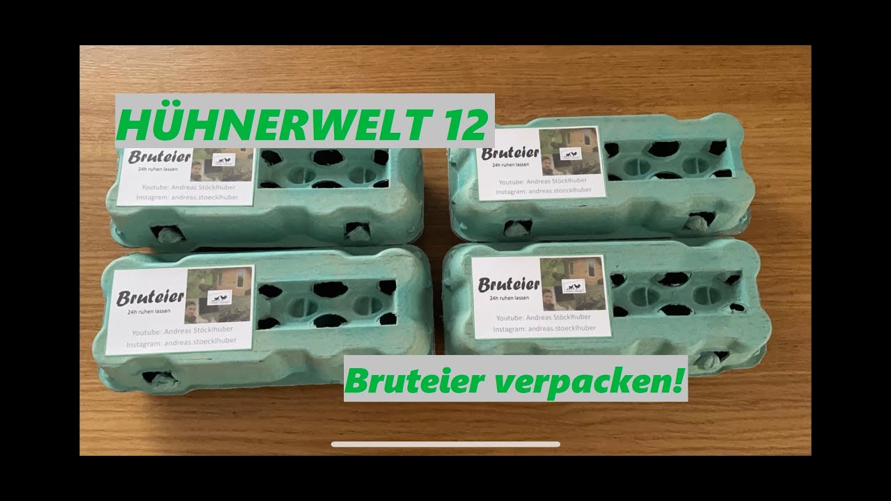 tupper zwiebel aufbewahrung Tupperware® Kleines Lager – Zwiebel- & Knoblauchbehälter mit Belüftung Personalisierter handgemachter Kosmetik-Organizer - Boho deko Größe:Vorteilspack (336g)